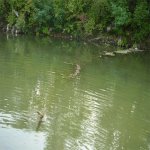 Untitled-2.jpg
