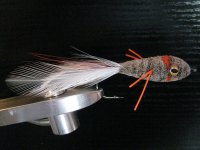 IMG_5718.jpg