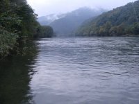 DSC07550_resize.JPG