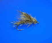 Dry birds nest.gif