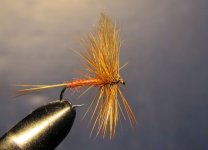 IMG_3670.JPG