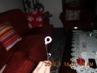 IMG_0085.JPG
