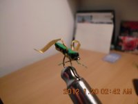 IMG_0003.JPG