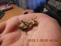 IMG_0011.JPG