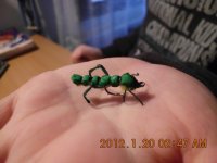 IMG_0010.JPG