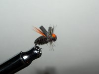 DSCN2817.JPG