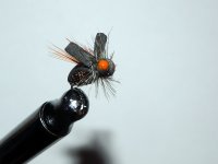 DSCN2819.JPG