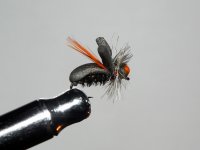 DSCN2823.JPG
