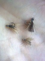 caddis.jpg