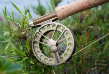 Sage-Click-Reels-1-459x313.jpg