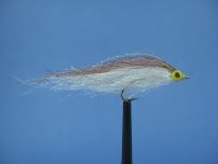 IMG_4416.jpg