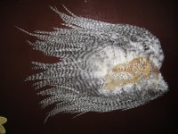 IMG_1424.JPG