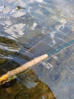 20120715_155653.jpg