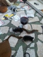 IMG_2012082922753.jpg