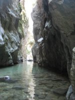 IMG_8805.JPG