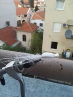 IMG_2012091228750.jpg