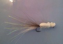 20120912_201610-1.jpg
