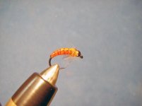 october caddis.jpg