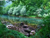 piva1 (Copy).jpg