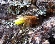 Fly line caddis pupa.jpg