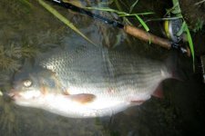 IMG_0755.jpg