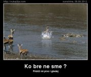 ko-bre-ne-sme.jpg