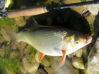 IMG_0760.jpg