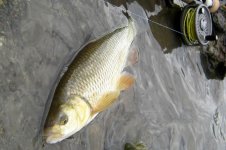 IMG_0772.jpg