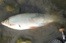 IMG_0773.jpg