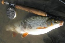 IMG_0774.jpg