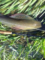 IMG_201210224433.jpg