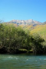 IMG_0798.jpg