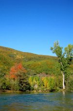 IMG_0799.jpg