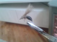 2012-10-24 11.18.59.jpg