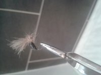 2012-10-24 11.13.06.jpg