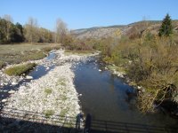 IMG_0009.JPG