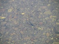 IMG_0010.JPG