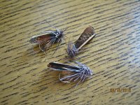 tape wing caddis.jpg