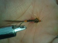 2012-10-27 12.09.51.jpg