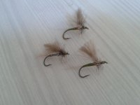 2012-11-01 10.42.53.jpg