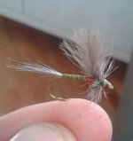 2012-11-01 10.39.37-1.jpg