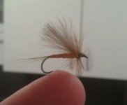 2012-10-31 20.40.04-1.jpg