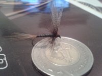 2012-11-14 23.17.00.jpg
