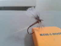 2012-11-23 11.25.39.jpg