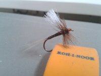 2012-11-23 11.43.10.jpg