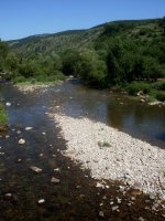 SDC13250.jpg