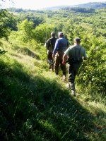 SDC13246.jpg