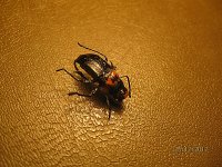 IMG_7830.jpg