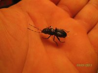 IMG_7980.jpg
