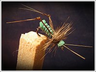 IMG_2990.jpg